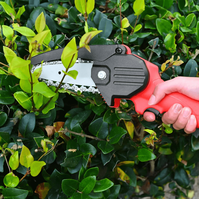ChainPower Lithium Chainsaw ChainPower Lithium Chainsaw