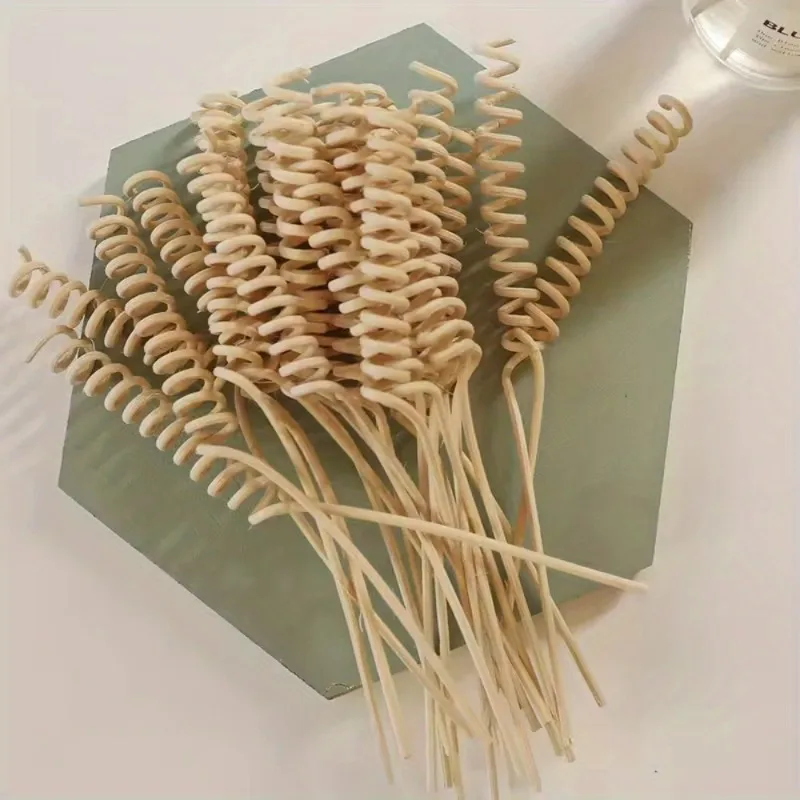 10Pcs Pflanze Gebogene Rattan Sticks Aromatherapie Flüchtige Stange Reed Diffusor Flasche Parfüm Öl Flüchtige Zubehör Wohnkultur Image