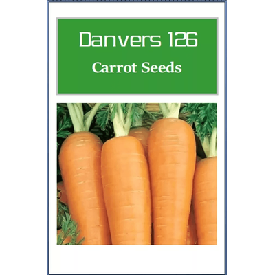 Danvers 126 Carrot Seeds, Non GMO Heirloom Vegetable Seeds For Garden Planting 750 Seeds
