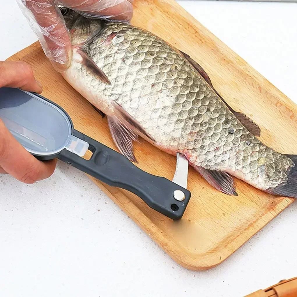 Stainless Steel Fish Scale Scraper & Gutting Tool Easy Seafood Cleaner black