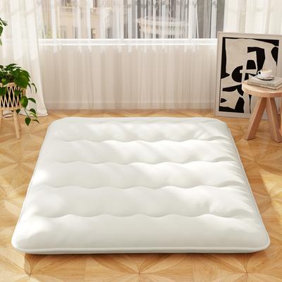 Queen Futon Mattress Floor Sleeping Pad With Washable Cover & Carry Bag For Camping Queen Futon Mattress Floor Sleeping Pad With Washable Cover & Carry Bag For Camping