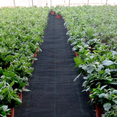20 Year Heavy Duty PP Landscape Fabric, Premium Woven Weed Barrier For Outdoor Garden, Lawn & Driveway 20 Year Heavy Duty PP Landscape Fabric, Premium Woven Weed Barrier For Outdoor Garden, Lawn & Driveway