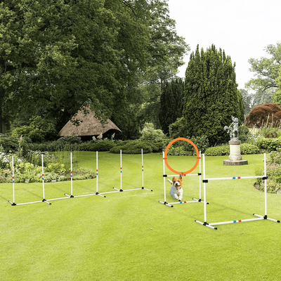 Outdoor 3 Piece Dog Pet Agility Training Equipment Backyard Starter Course Set, High Jump, Weave Poles & Ring By PawHut Outdoor 3 Piece Dog Pet Agility Training Equipment Backyard Starter Course Set, High Jump, Weave Poles & Ring By PawHut
