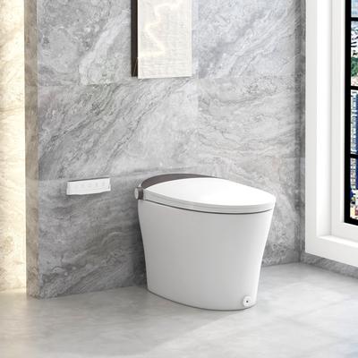 Elongated Smart Toilet With Bidet, 1.16 GPF, Adjustable Heated Seat & Warm Air Dryer Elongated Smart Toilet With Bidet, 1.16 GPF, Adjustable Heated Seat & Warm Air Dryer