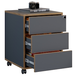 VCM Rollcontainer Salia Anthrazit H. 50 x B. 42 x T. 45 cm Image