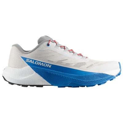 Salomon - Pulsar - Trailrunningschuhe 45 1/3 | EU 45 grau Image