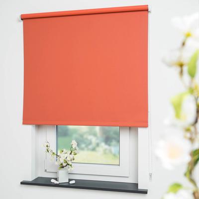 Seitenzugrollo LIEDECO "Uni" Gr. 18, orange (terra), B:72cm H:180cm, Polyester, Rollos Image