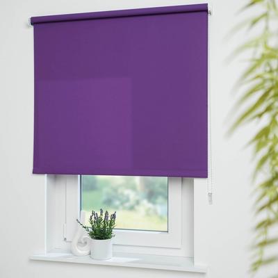 Seitenzugrollo LIEDECO "Uni" Gr. 8, lila (brombeere), B:162cm H:180cm, Polyester, Rollos, Montage ohne Bohren zum Klemmen mit separatem Klemmträger möglich Image