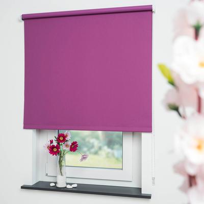 Seitenzugrollo LIEDECO "Uni" Gr. 14, lila (brombeere), B:132cm H:180cm, Polyester, Rollos Image