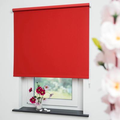 Seitenzugrollo LIEDECO "Uni" Gr. 9, rot, B:182cm H:180cm, Polyester, Rollos Image