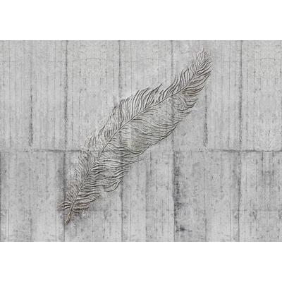 Vliestapete KOMAR "Digitaldruck Vlies - Concrete Feather - Größe 350 x 250 cm", grau (grau, schwarz), B:350m L:250m, Vlies, Tapeten, Wohnzimmer, Schlafzimmer Image