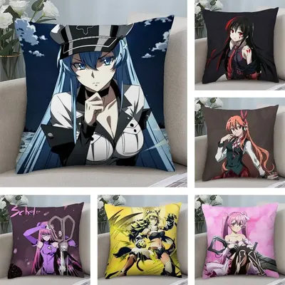 Anime A-Akame Ga K-Kill Kissenbezug, Plüschstoff, weicher doppelseitiger Druck, Sofa-Kissenbezug, Überwurf-Kissenbezüge Image