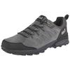Wanderschuh JACK WOLFSKIN "MTN GOAT LOW M", Gr. 48, grau, dunkelgrau, Leder, sportlich, Schuhe