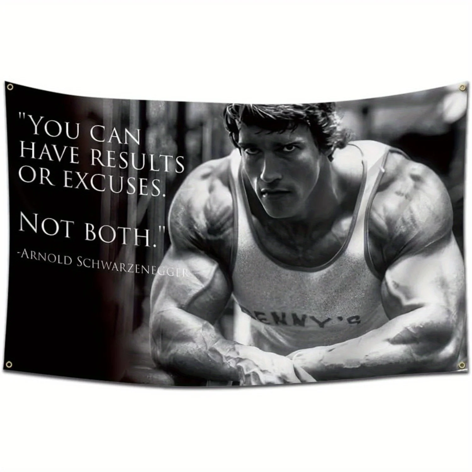 1 Stück Arnold Schwarzenegger „Du kannst Ergebnisse oder Ausreden haben, nicht beide“, motivierendes Fitnessstudio-Banner, perfekt für Trainingsräume, Heim-Fitnessstudio Image