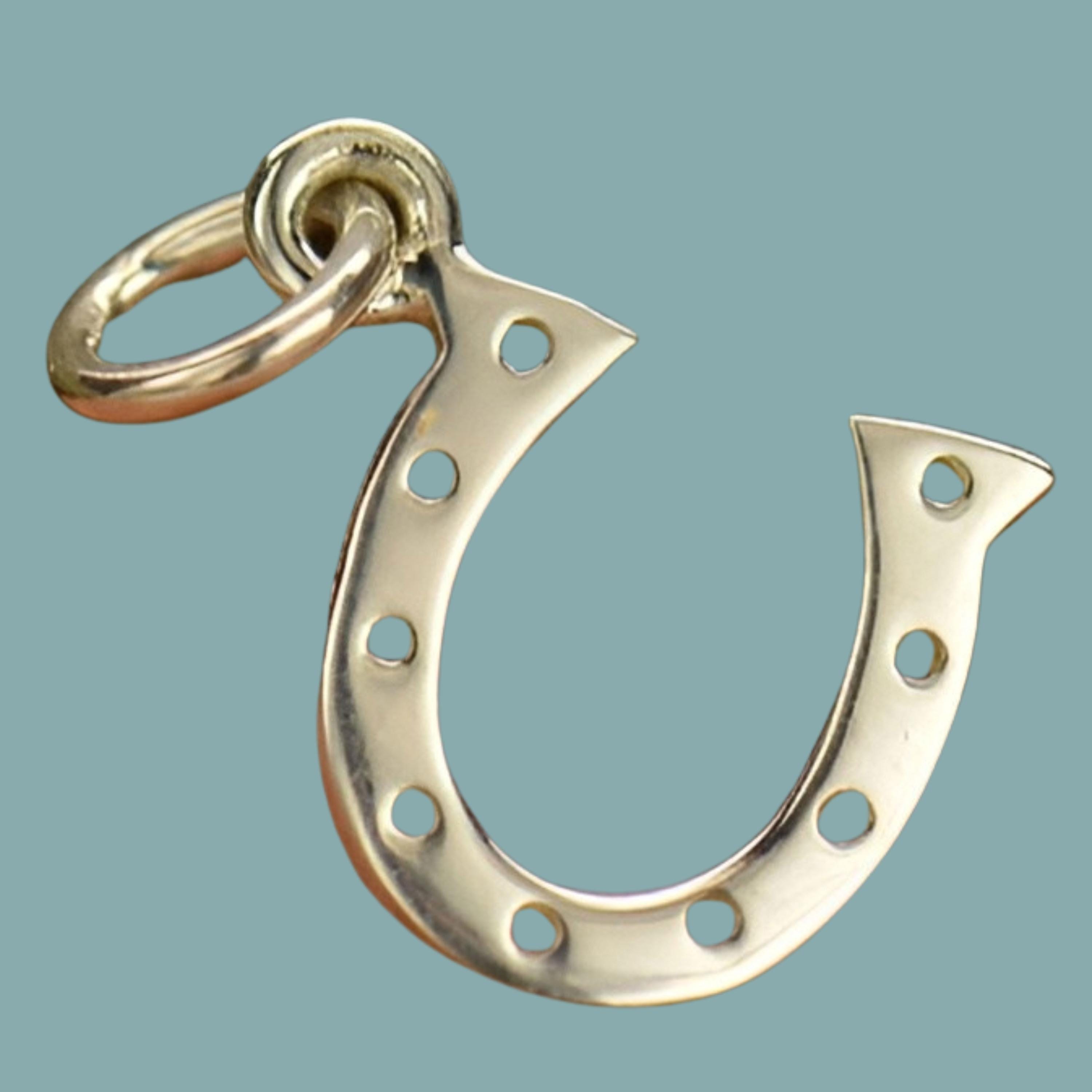 Ferro di cavallo portafortuna in argento sterling, ciondolo a forma di ferro di cavallo, ferro di cavallo in argento, portafortuna, portafortuna, port