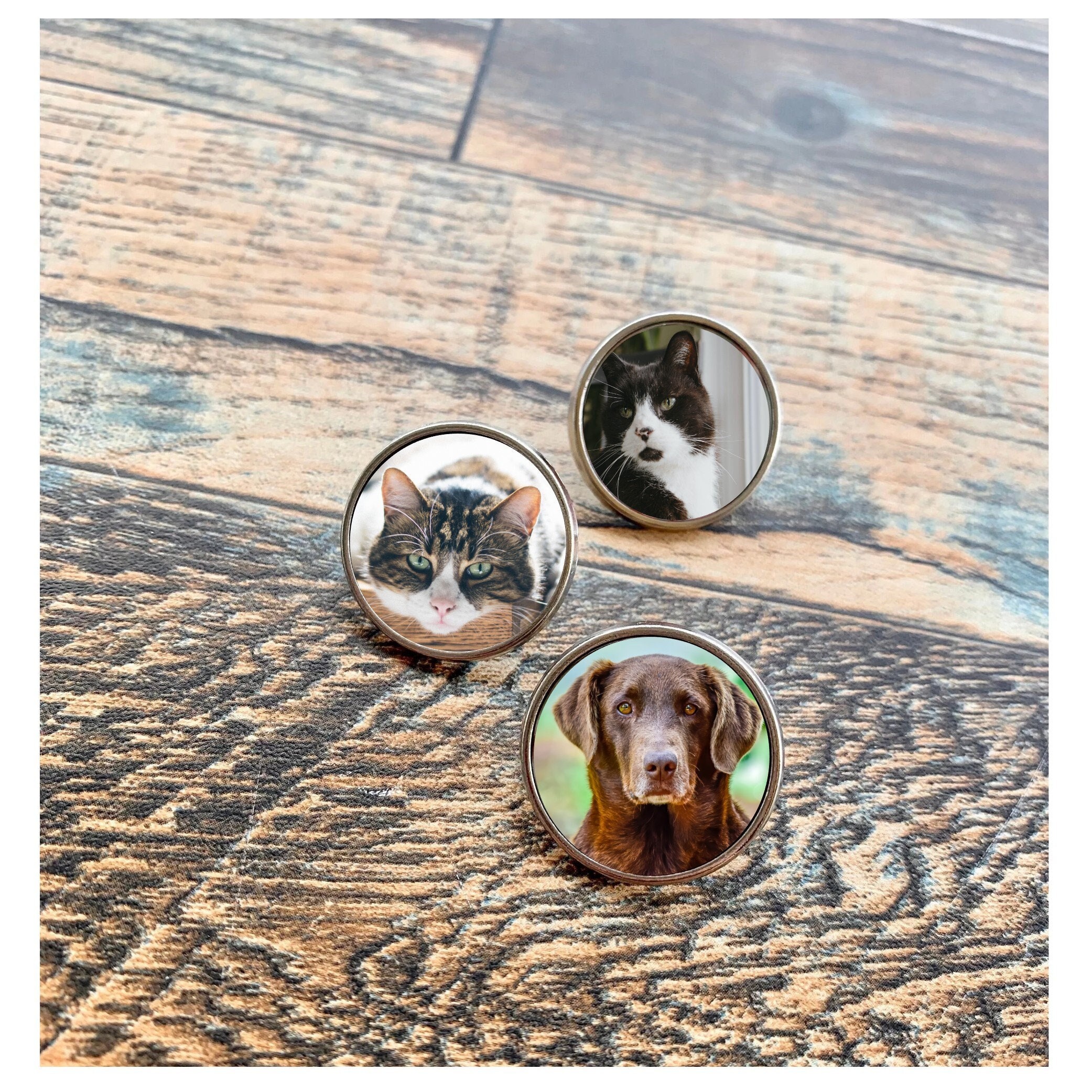 Pet Memorial Lapel pin, Cat Loss pin, Pet Photo Lapel Pin, In Memory Loved One spilla, spilla funebre, spilla fotografica commemorativa