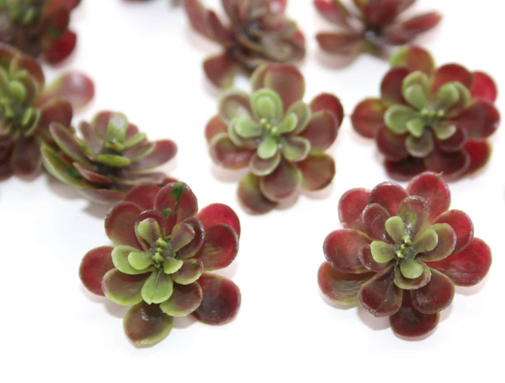 Piante grasse finte - 28 mini piante grasse artificiali in verde e bordeaux - Succulente, Succulente - ITEM 1632