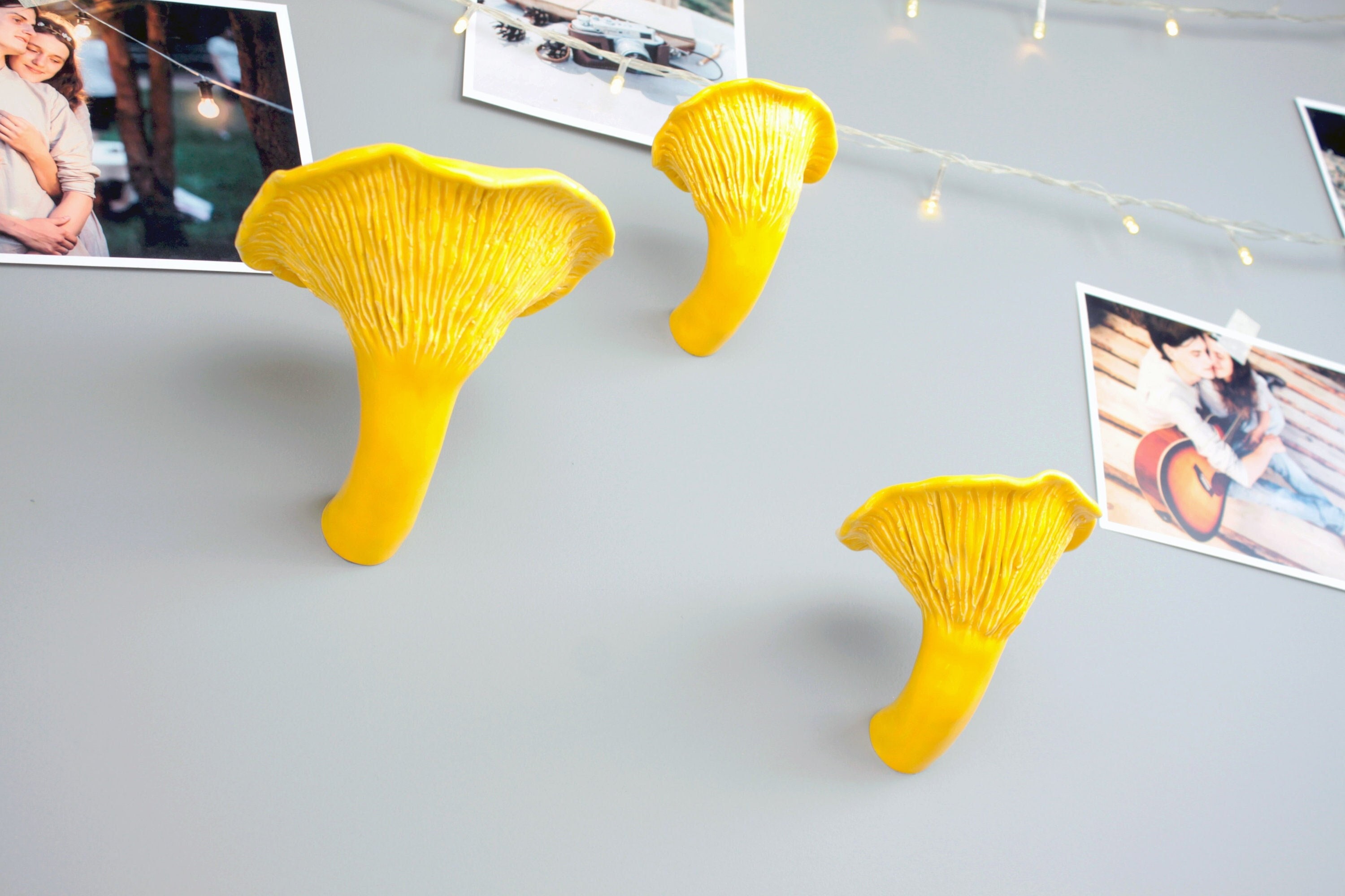 Mensola a forma di fungo cantaselli, decorazioni a forma di fungo, ornamento a forma di fungo, mensole galleggianti, mensola per piante, mensole unich