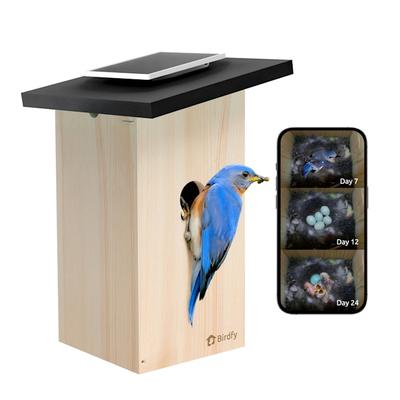 Birdfy Ebony Solar Powered Smart Bird House with Camera