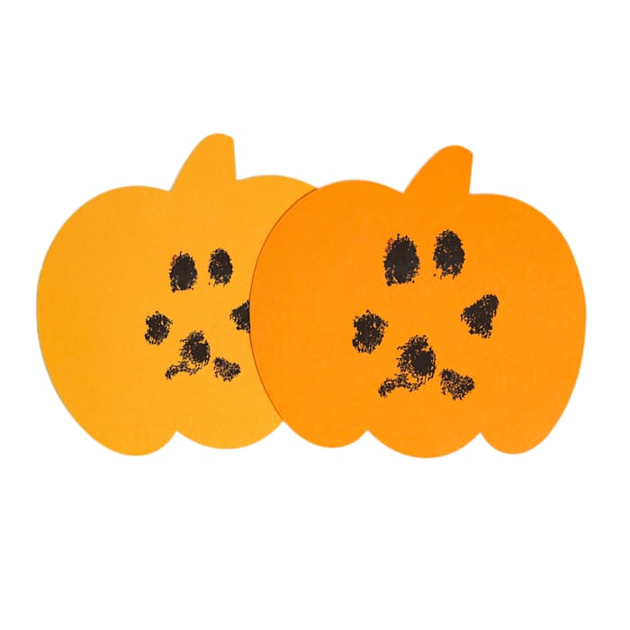 Pearhead Pet Pumpkin Diy Clean-Touch Ink Pad Kit, Orange, X-Small/Small