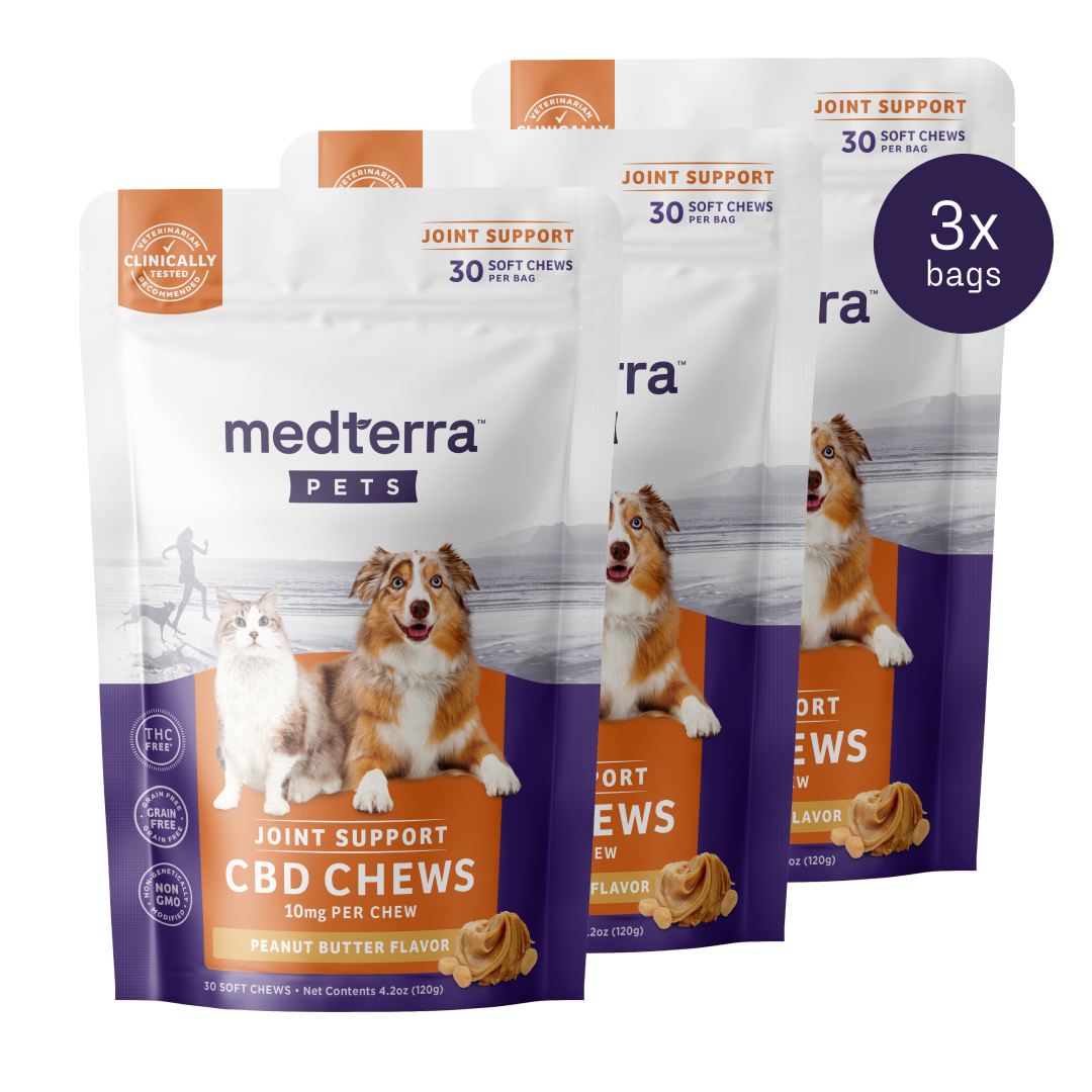 Pet CBD Joint Support Chews
