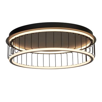 Naom Large Flush Ceiling Light