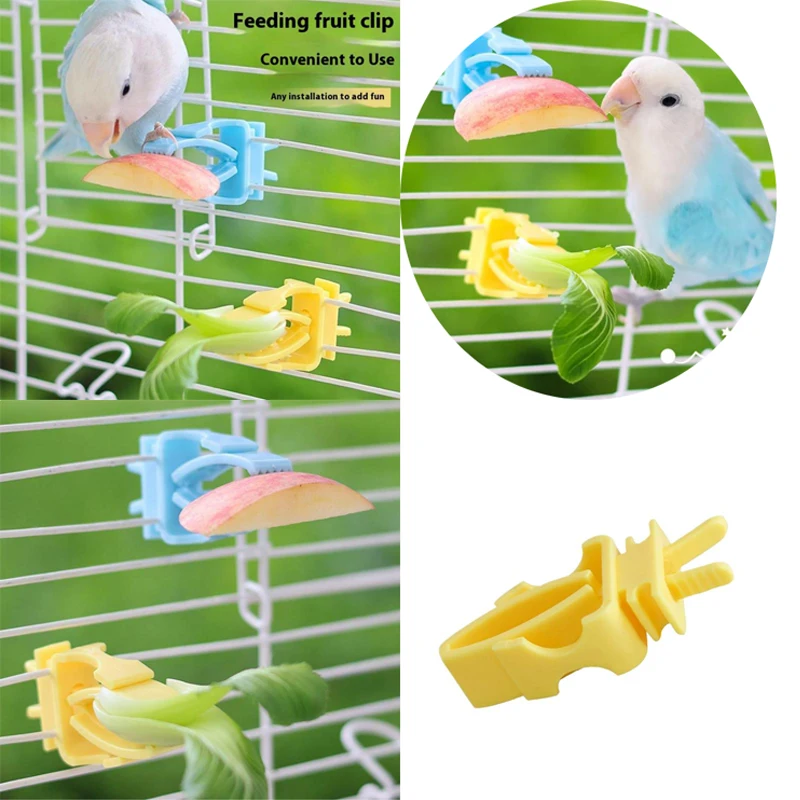 2/4Pcs Haustier Vogel Lebensmittel Halter Tintenfisch Knochen Feeder Papagei Obst Gemüse Clip Halterung Gerät Klemme Vogel käfig Zubehör Image