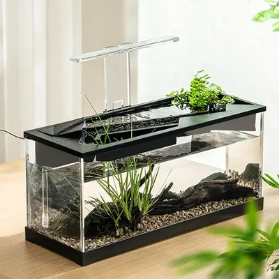 Small Fish Tank Acrylic Clear Desk Aquarium with Filter Fish Tank Starter Kits with Air Pump for Tabletop Living Room Studio Dec