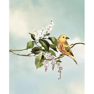 Bild KOMAR "Gazouillis des Oiseaux", bunt (farbe bild(er): bunt), B:40cm H:50cm, Papier, Holz, Bilder, Wandbild zur Dekoration - ohne Rahmen Image