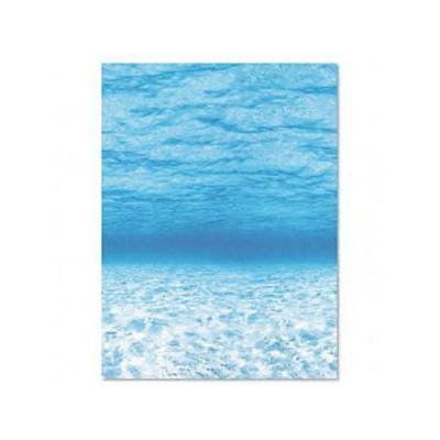 Pacon PAC56525 Fadeless Designs Bulletin Board Paper, Under Sea, Acid-Free, 48" x 50' Roll