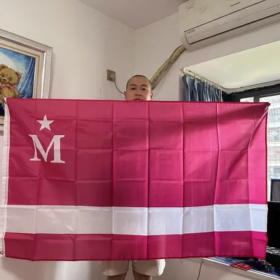 SKY FLAG Modern Life moderdonia Flag 90x150cm polyester hanging Modern Life Queque Moderna Moderdonia Flag For home Decoration