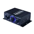 Amplificatori digitali domestici amplificatore di potenza Audio Stereo Hifi 200W + 200W amplificatore di potenza a doppio canale 125x75x40mm