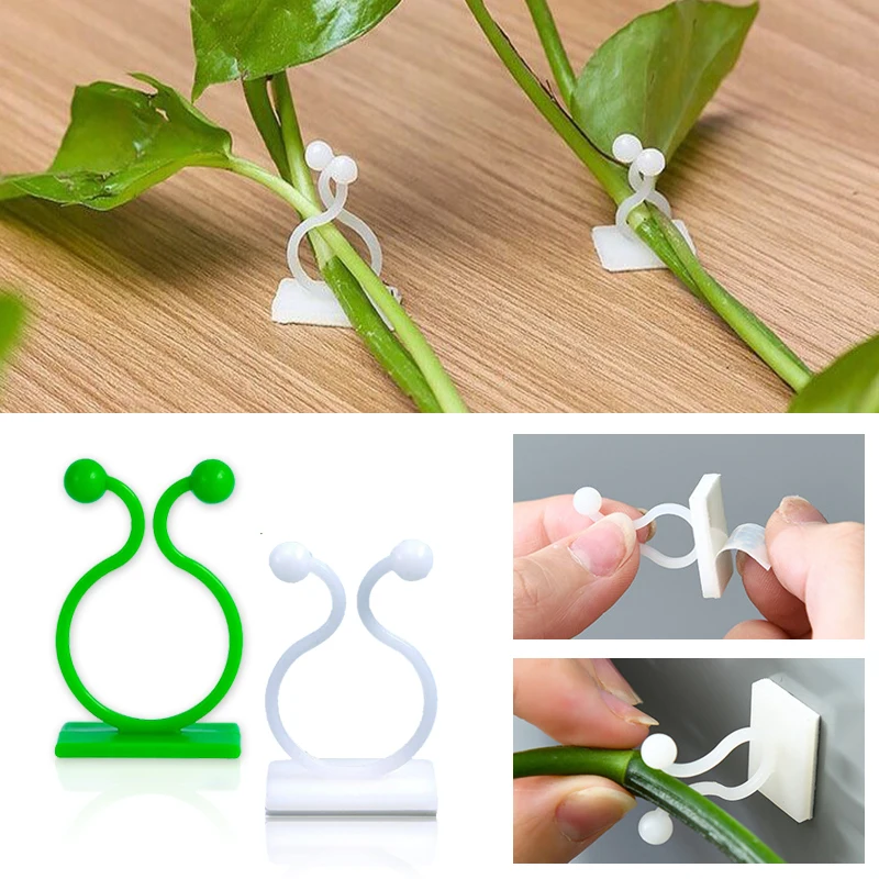 Pflanze Klettern Wand Selbstklebende Feste Schnalle Haken Verschluss Gebunden Vorrichtung Reben Schnalle Haken Garten Pflanze Wand Klettern Reben Clips Image