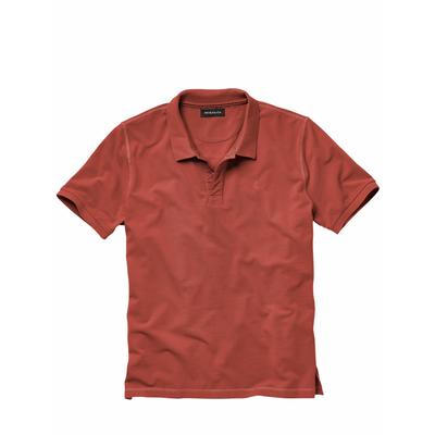 Gefährten Polo FE Image