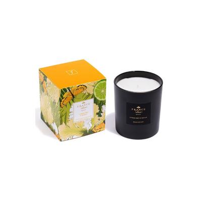 Plus Size Women's Scented Candle by France Luxe in Citron Vert Basilic (Size OS)