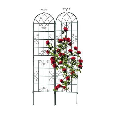 relaxdays 2er-Set Rankgitter Metall 220 cm grün silber Image