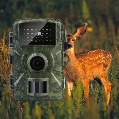 Jagd Kamera Wild Infrarot Nachtsicht Outdoor Motion Trail Spiel Cam Aktiviert Tracking Foto Falle Cam Wild Überwachung