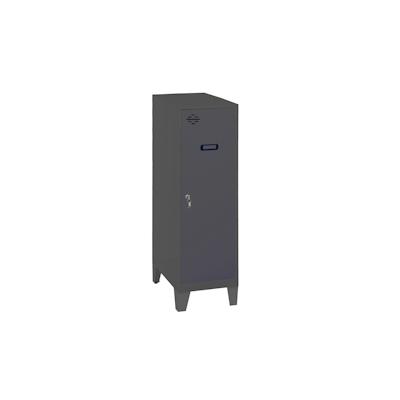 PROREGAL Schließfachwürfel AMEGO | HxBxT 101,5x40x50cm | Mit Standfüße | Anthrazit-Anthrazit | Spind Schließfach Garderobe Image