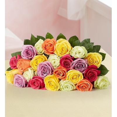 1-800-Flowers Flower Delivery Two Dozen Assorted Roses Bouquet Only | The Trusted Name In Flowers | Happiness Delivered To Their Door