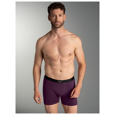 Boxer TRIGEMA "TRIGEMA Pants mit praktischem Gummibund", Herren, Gr. XL, lila (aubergine), 95% Baumwolle, 5% Elastan, Unterhosen Image