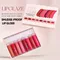 8-Farben-Matt-Samt-Lipgloss-Set, wasserfester flüssiger Lippenstift, nackte Farbe, Lipgloss, Kosmetik, roter Lipgloss, Schönheit