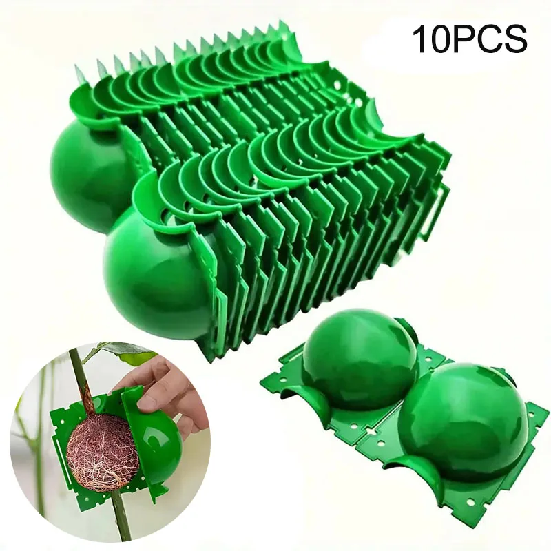 10Pcs Pfropfen Box Indoor Outdoor Anlage Wurzel Wachsenden Box Schneiden Pfropfen Verwurzelung Ball Garten Ausmehrung Ball Zucht Equipm Image