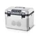 Réfrigérateur voiture 24v voiture réfrigérateur 19L nouveau Style Camping réfrigérateur congélateur 12v 24v 220v Mini réfrigérateur voiture Portable congélateur
