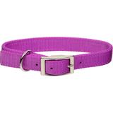 Personalized Orchid Double-Ply Dog Collar, Medium, Purple