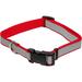 Lazer Brite Personalized Reflective Red Adjustable Dog Collar, Large, Grey