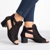 Frauen Sandalen 2022 Sommer Klobigen High Heels Soild Gladiator Öffnen Peep Toe Frauen Schwarz Schuhe Schnalle Zurück Zipper Alias De mujer damen schuhe sandalen damen absatz sandalen sandals women