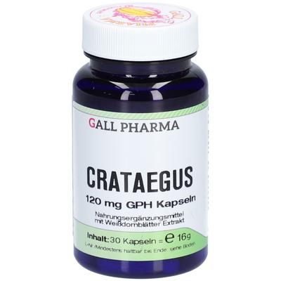 Crataegus 120 mg GPH Kapseln 30 St Image