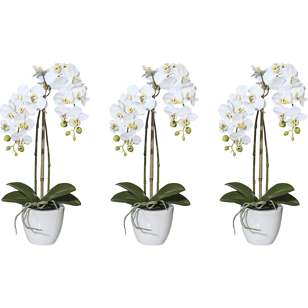 Plante artificielle mini-orchidée Phalaenopsis - kaiserkraft