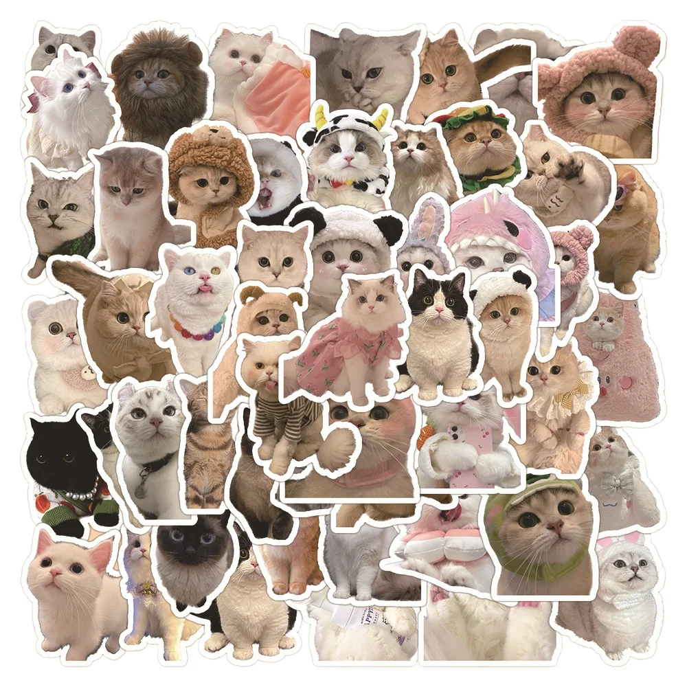 60 Stück Realistickitten-Aufkleber, niedliche Katze, Mobiltelefon-Dekoration, niedliche Expression, kreativer Aufkleber, Wasserbecher, Notizbuch, Handkonto-Aufkleber Image