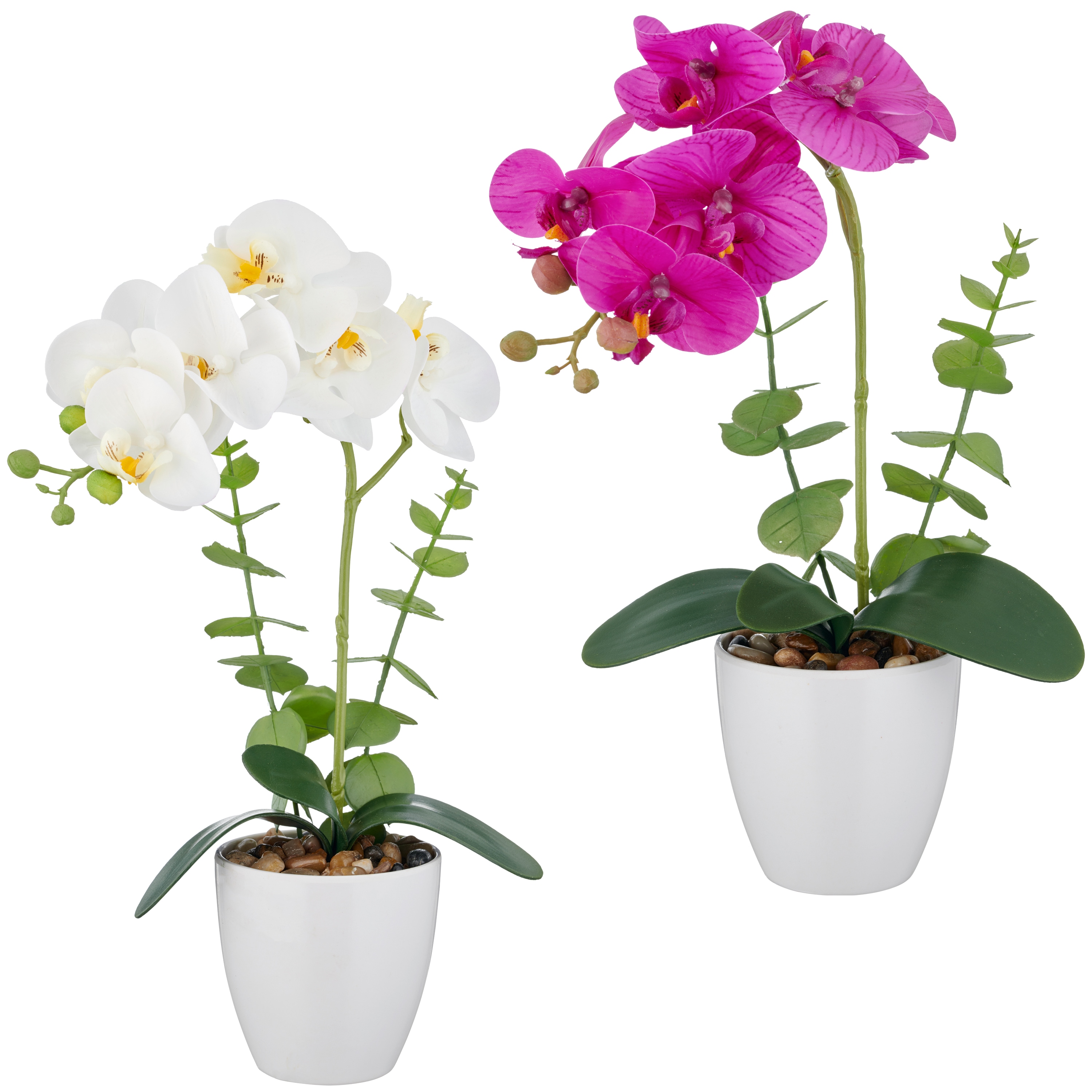 Kunstorchidee CREATIV GREEN "Orchidee Phalaenopsis", 2 farben 2, H:40cm, Kunststoff, Kunstpflanzen, mit Eukalyptuszweigen Image